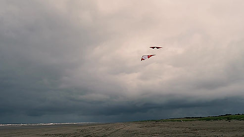 Sport Kite Camp - Long Beach - Recap